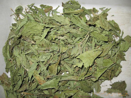 SS531大孔吸附树脂