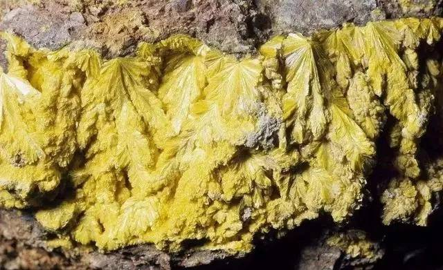 Extracting uranium from Kingshan to accelerate the safe and green development of nuclear energy